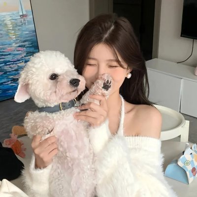白银和梦想之书